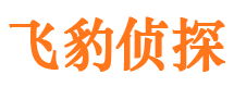 武强市侦探公司